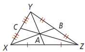 Activity 1